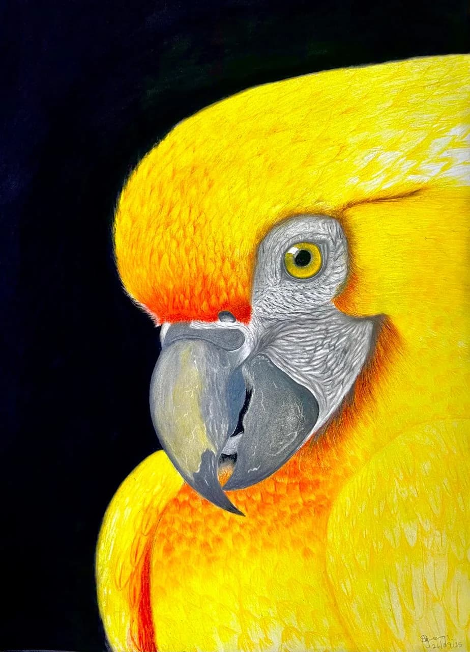 PRINT: 'Golden Parrot' handmade by Art By Sipho Ngwenya